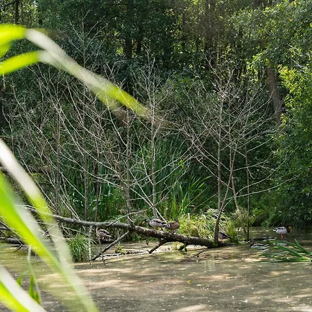 Fa La - Nad Morzem * Łukęcin