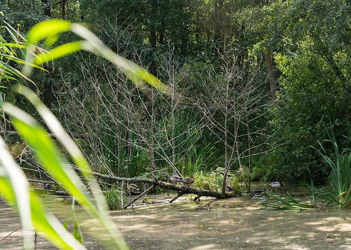 Fa La - Nad Morzem * Łukęcin